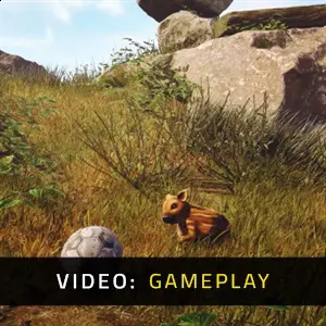 Adorable Adventures – Gameplay