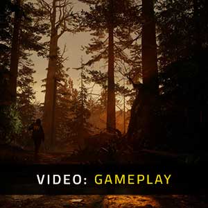 Alan Wake 2 Epic Games Store Greencode Key EU - MMOGA