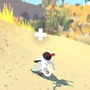 Alba A Wildlife Adventure - Vogel