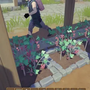 Alchemy Factory - Druiven