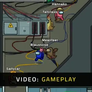 Among Us - Video Gameplay