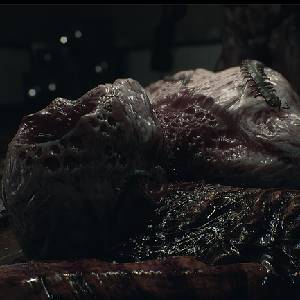 Amygdala 2024 - Nachtmerrie Anomalie