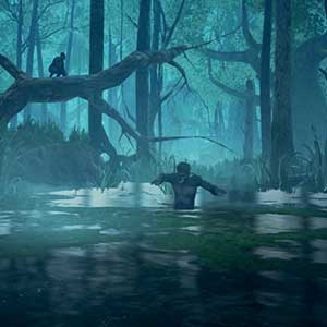 tree branches in the jungle