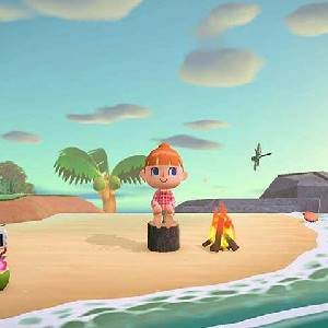 Animal Crossing New Horizons - Strand