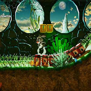 Animal Friends Adventure