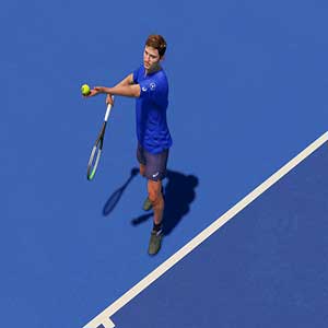 vrijgezellencarrière