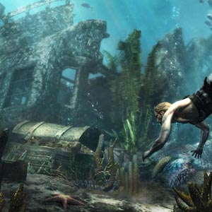 Assassin's Creed 4 Black Flag Schat