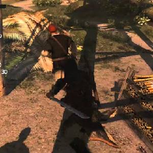 Assassins Creed 4 Black Flag Freedom Cry - Adéwalé en de Maroons