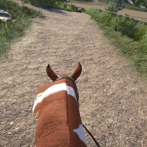 Astride - Rijdend Paard