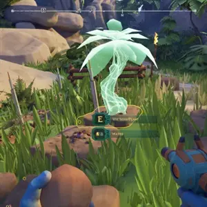 ASTROBOTANICA - Gewassen Planten