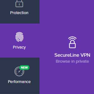 Avast Internet Security Global License - Privacy