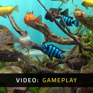 Behind Glass: Aquarium Simulator - Gameplayvideo