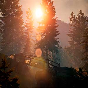 Finding Bigfoot - Houten wandelbrug