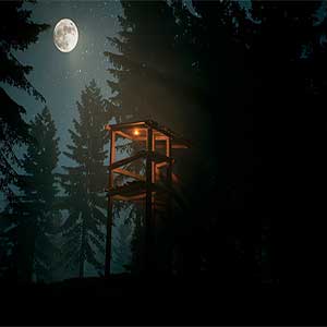 Finding Bigfoot - Nacht