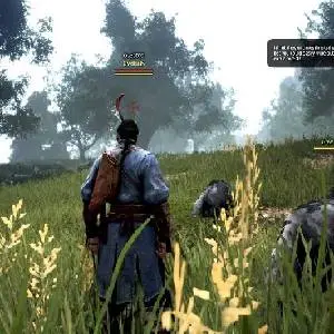Black Desert - Bos van Afzondering