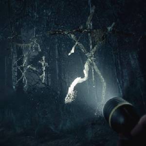 Blair Witch - Griezelig Bos