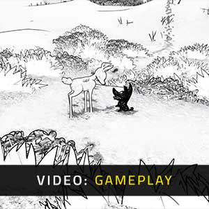 Blanc - Video Spelletjes