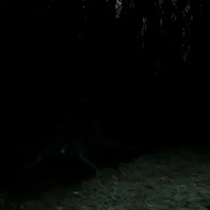 Blood Hunting - Grot