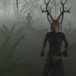 Bootstrap Island - Inboorlingen