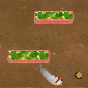 Bouncy Chicken - Sprint