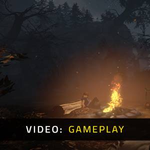 Brothers A Tale of Two Sons Gameplay Video