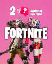2 Random Fortnite Skins Pc