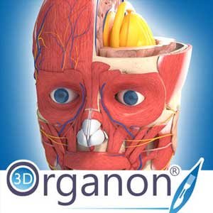 Koop 3D Organon Anatomy CD Key Goedkoop Vergelijk de Prijzen