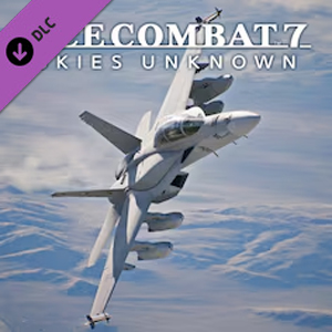 ACE COMBAT 7 SKIES UNKNOWN F/A-18F Super Hornet Block 3 Set Switch