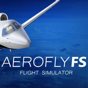 Aerofly FS Flight Simulator Switch