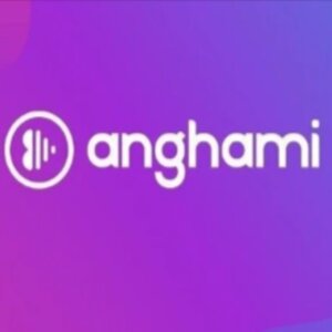 kopen Anghami Plus Gift Card Vergelijk de Prijzen