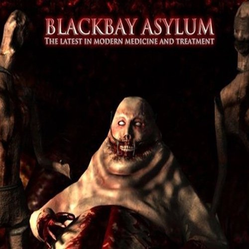 Koop Blackbay Asylum CD Key Compare Prices
