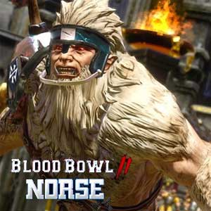 Koop Blood Bowl 2 Norse CD Key Compare Prices