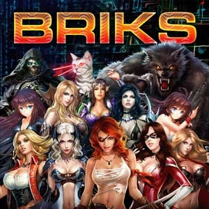 BRIKS Playstation 4