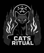 Koop Cats Ritual PS4 Goedkoop Vergelijk de Prijzen