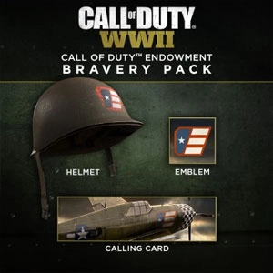 COD WW2 Call of Duty Endowment Bravery Pack Playstation 4