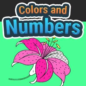 Colors and Numbers Switch