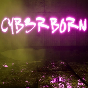 CyberBorn Pc