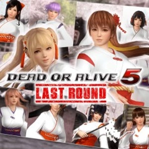 DOA5LR Shrine Maiden Costume Set Pc