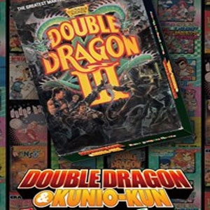 DOUBLE DRAGON 3 The Sacred Stones Playstation 4