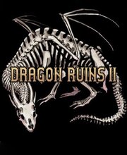 Koop Dragon Ruins 2 PS4 Goedkoop Vergelijk de Prijzen