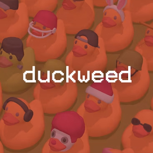 Duckweed Switch