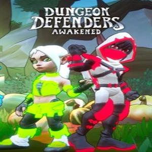 Dungeon Defenders Awakened Chromatic Costumes Pc