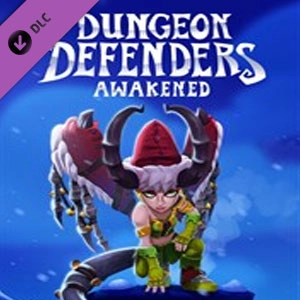Dungeon Defenders Awakened Winter Defenderland Pc