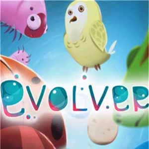 Evolver Pc