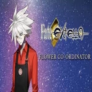 Fate/EXTELLA Flower Co ordinator Playstation 4