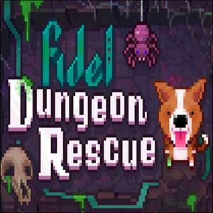 Koop Fidel Dungeon Rescue CD Key Goedkoop Vergelijk de Prijzen