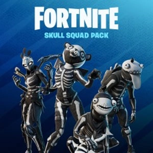 Fortnite Skull Squad Pack