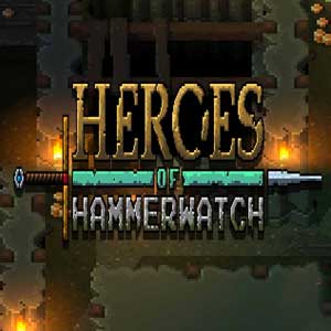 Koop Heroes of Hammerwatch CD Key Goedkoop Vergelijk de Prijzen