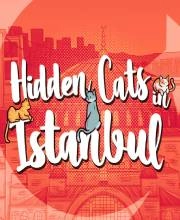 Hidden Cats in Istanbul Playstation 5