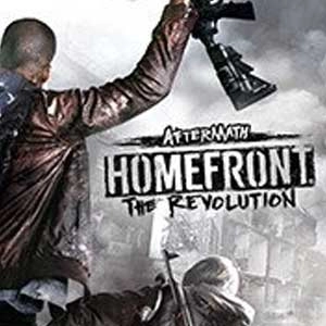 Homefront The Revolution Aftermath